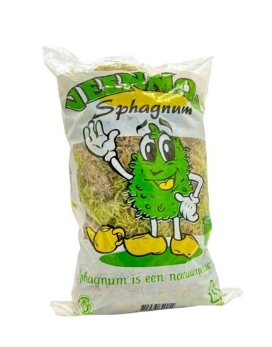 sphaigne fraiche vivante veenmos pour orchidées, terrarium et plantes