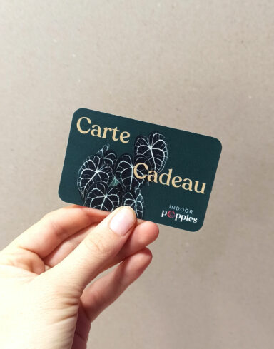 carte cadeau
