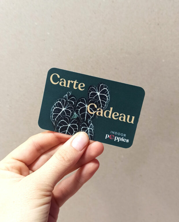 carte cadeau