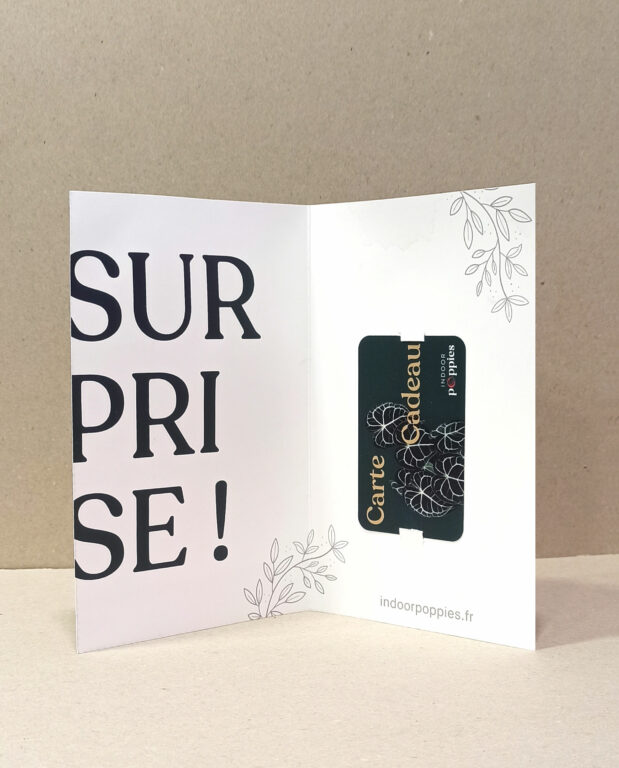 carte cadeau