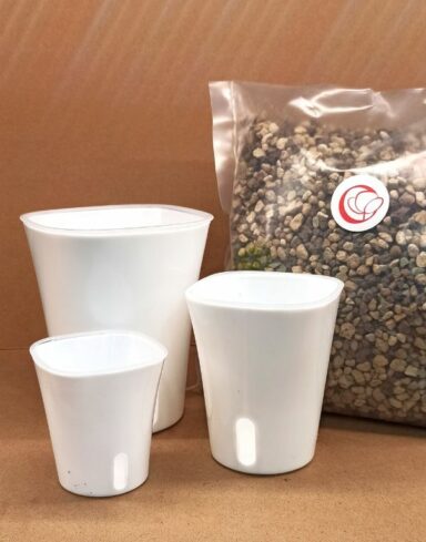 pots hydroponiques 3 tailles et pon 3L