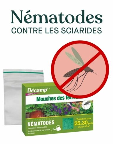 nematodes sf contre les sciarides - mouches de terreau