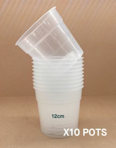 pack 10 pots transparents 12cm