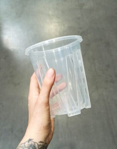 Pot Transparent profond pour Aracées - Parois Micro-Perforées