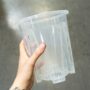 Pot Transparent profond pour Aracées - Parois Micro-Perforées