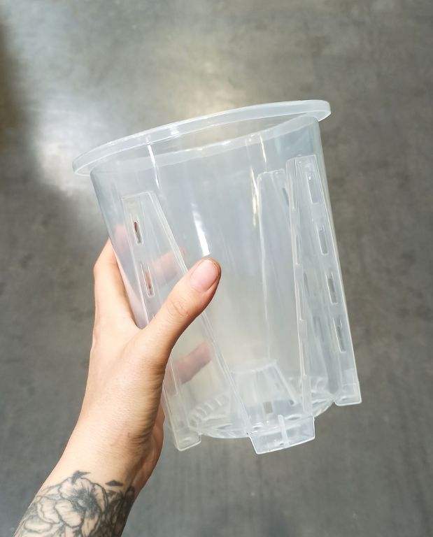 Pot Transparent profond pour Aracées - Parois Micro-Perforées