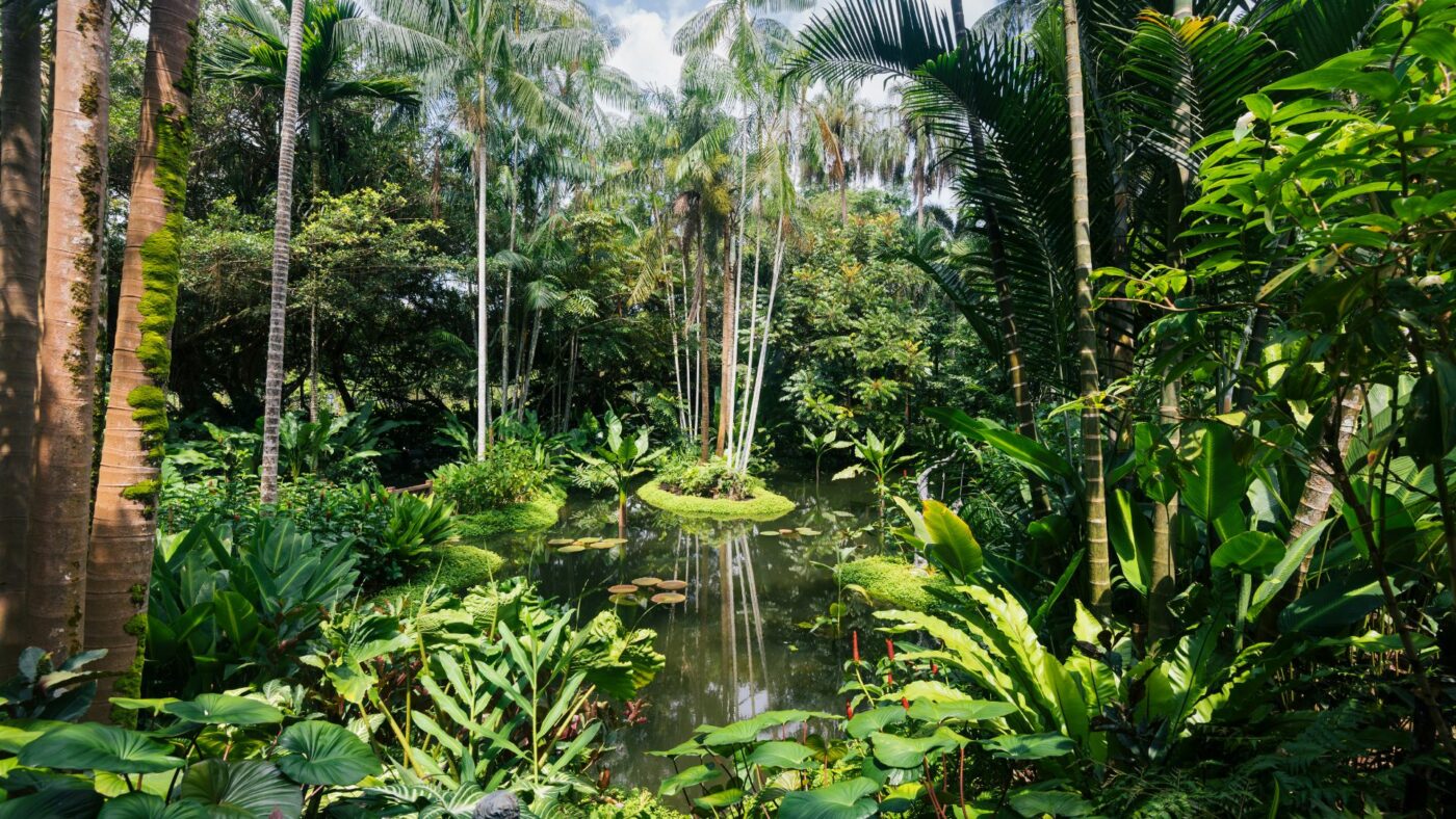 5 plus beaux jardins botaniques en Europe