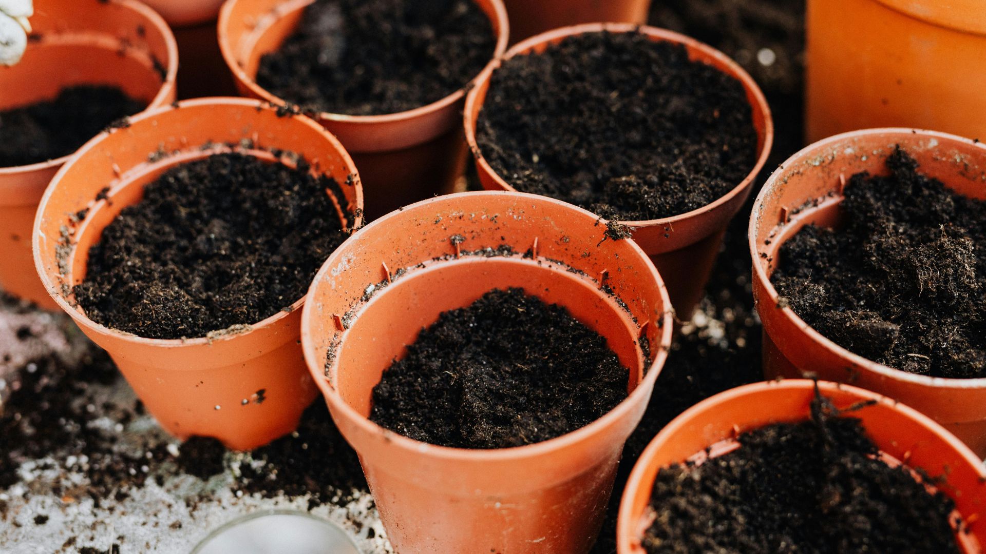 Comment choisir le bon substrat pour une plante ?