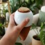 oya -ollas à planter - terre cuite - arrosage automatique plante d'intérieur
